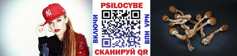 Псилоцибиновые грибы Psilocybine cubensis  МЕГА ONION  Краснотурьинск 